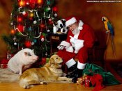 blbinky-pranicka/pro-radost/christmas-santa-and-animals-wallpaper.jpg